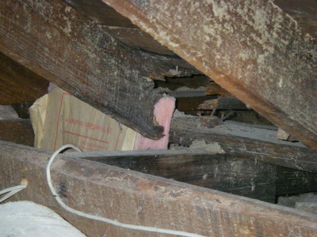 Roof Framing damage